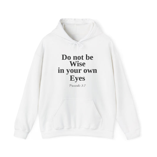 Do not be wise in your own eyes Hoodie