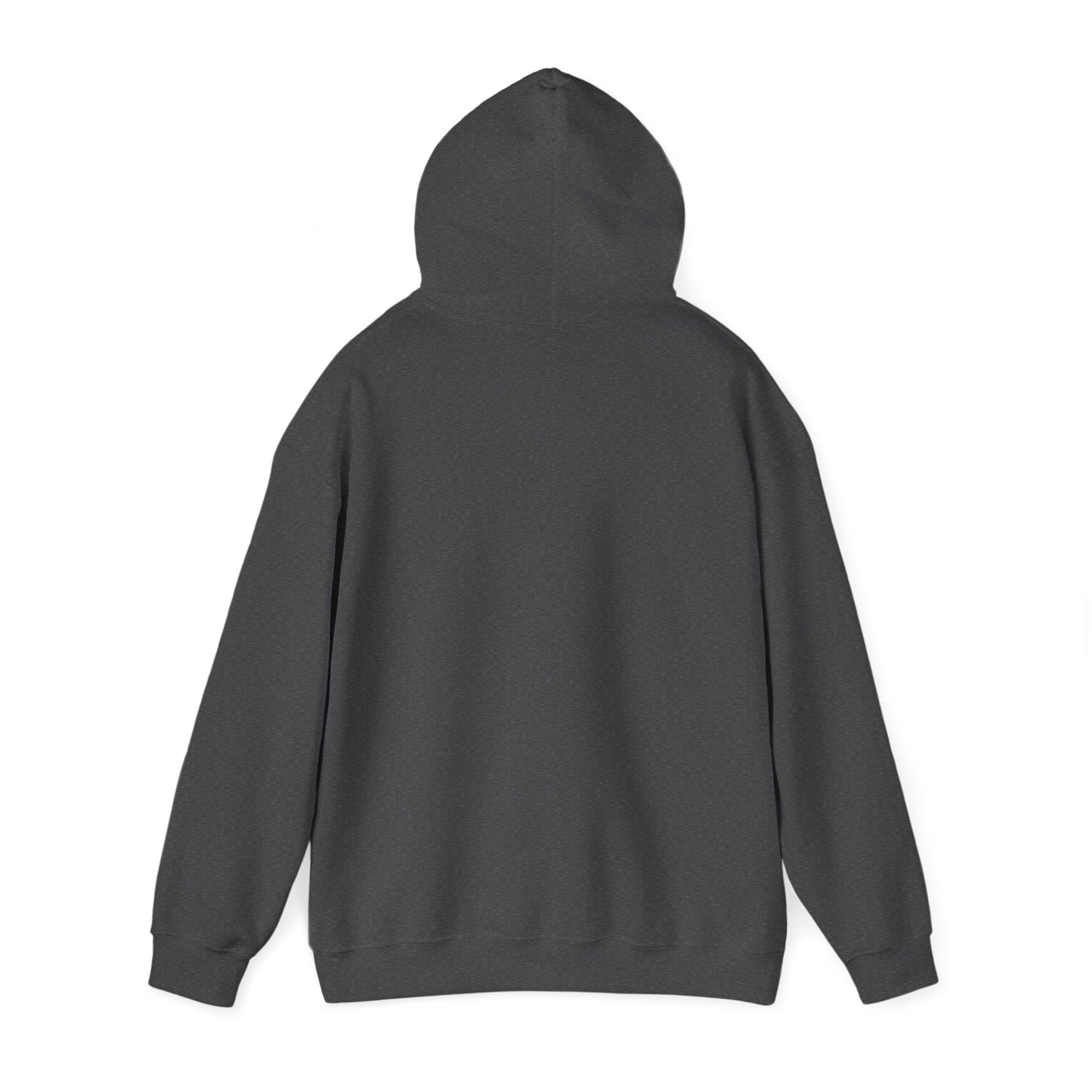 Do not be wise in your own eyes Hoodie