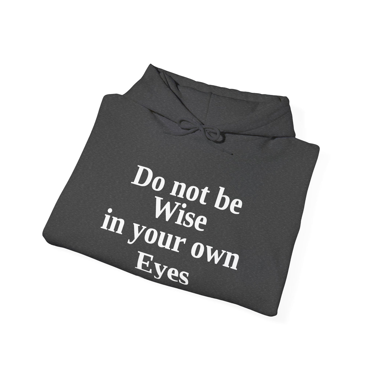 Do not be wise in your own eyes Hoodie