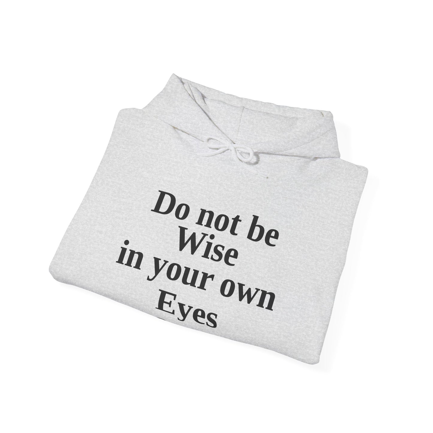 Do not be wise in your own eyes Hoodie