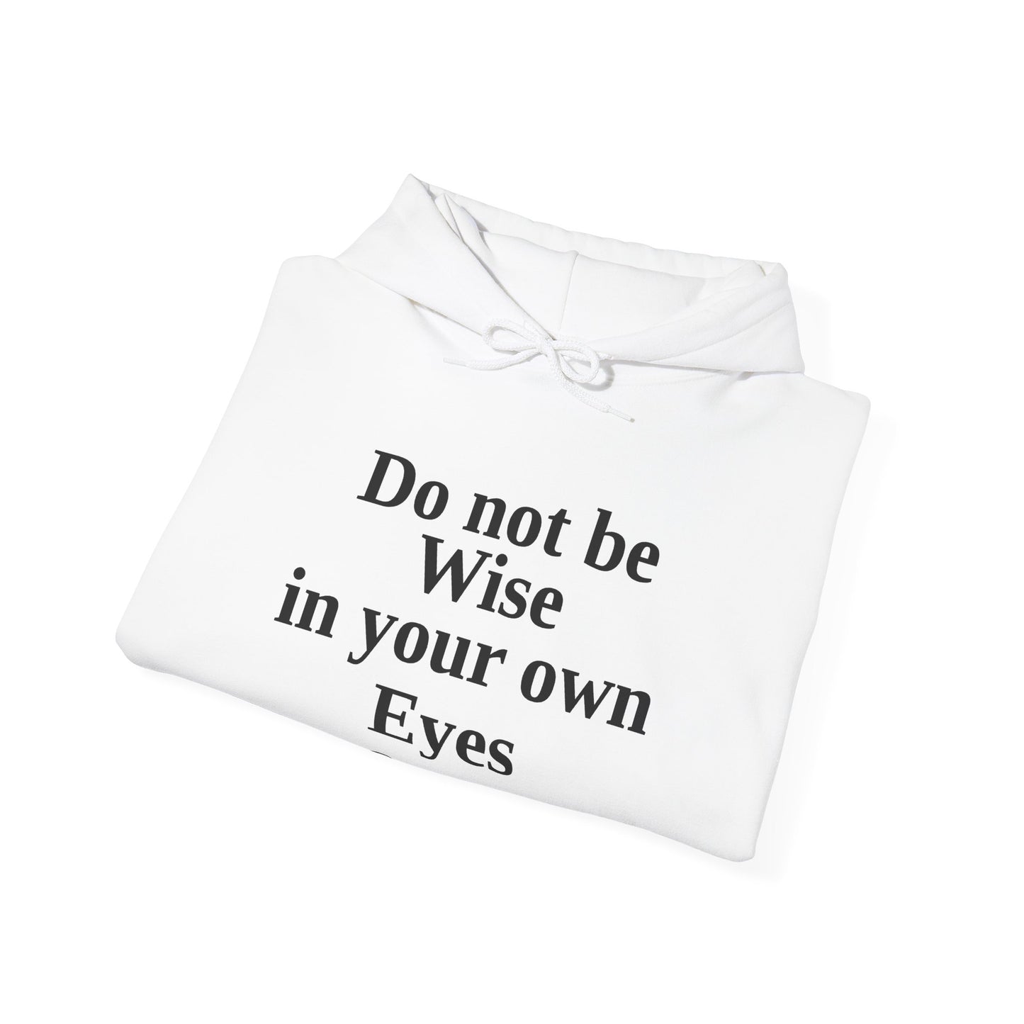 Do not be wise in your own eyes Hoodie