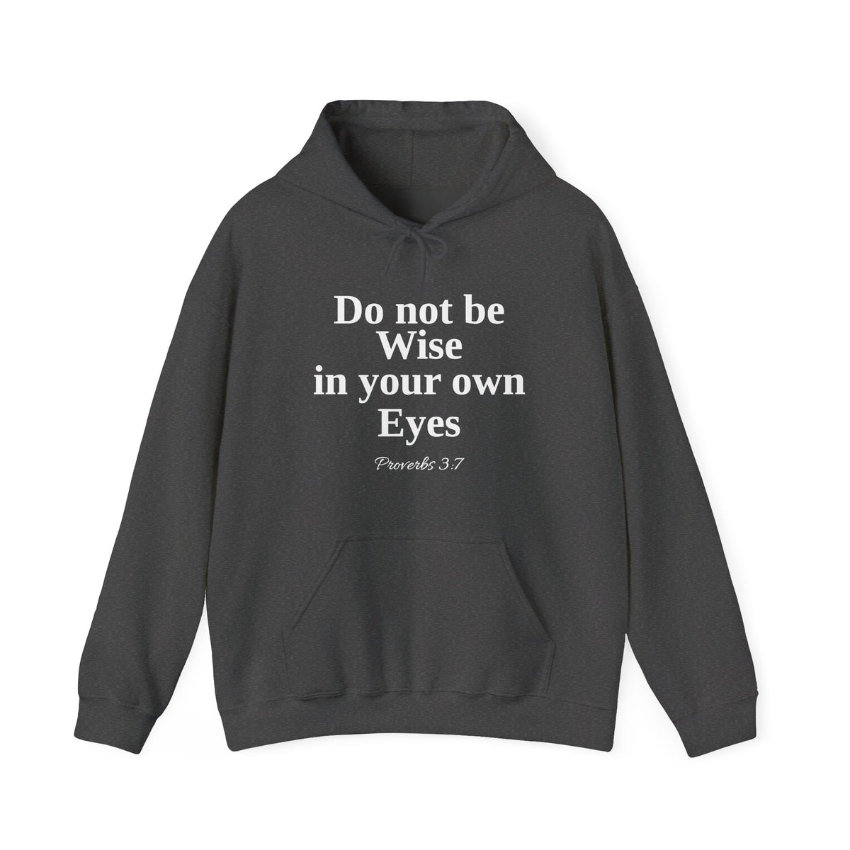 Do not be wise in your own eyes Hoodie