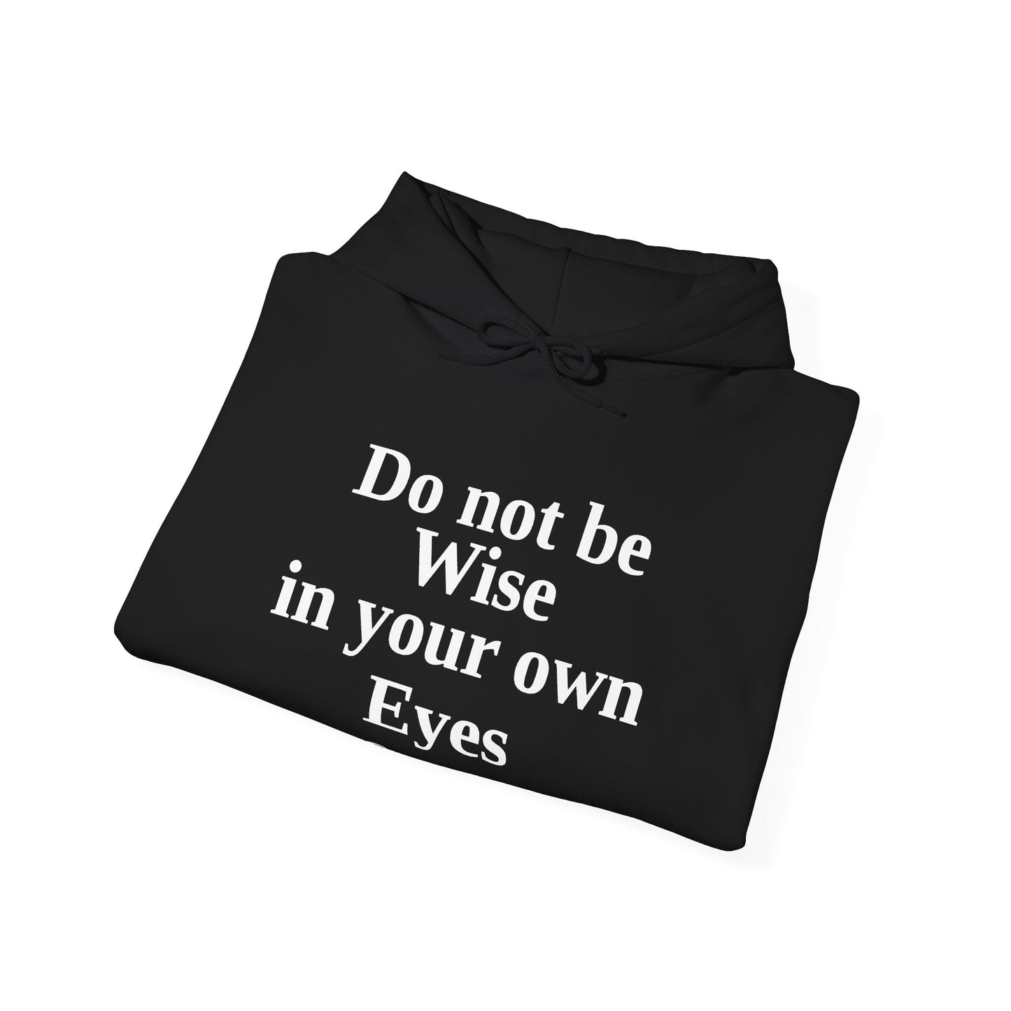 Do not be wise in your own eyes Hoodie