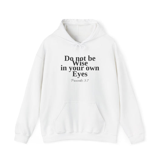 Do not be wise in your own eyes Hoodie