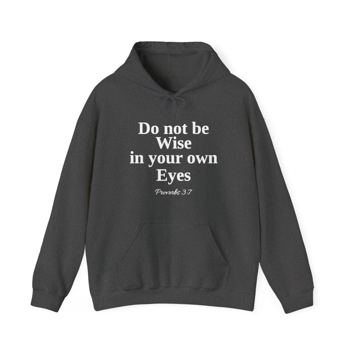 Do not be wise in your own eyes Hoodie